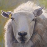dai david brecon paintings sheep wales