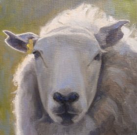 dai david brecon paintings sheep wales