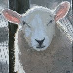 Dai David Art sheep painting ALL EARS